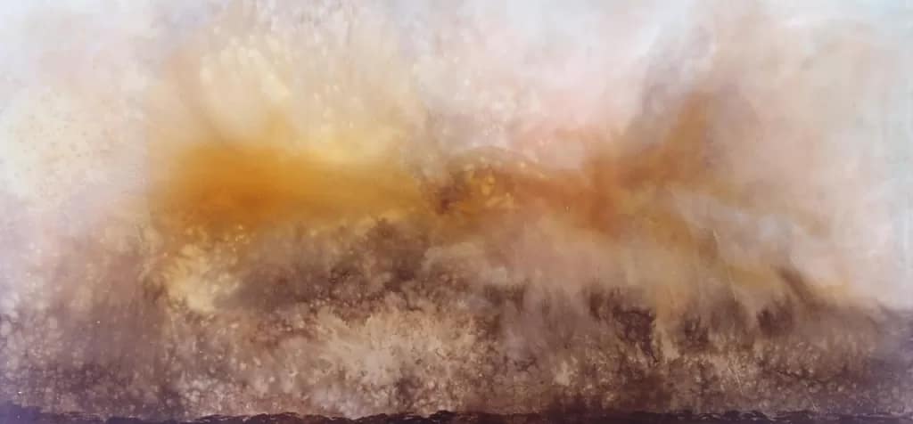 Whos-There - 1EarthMedia