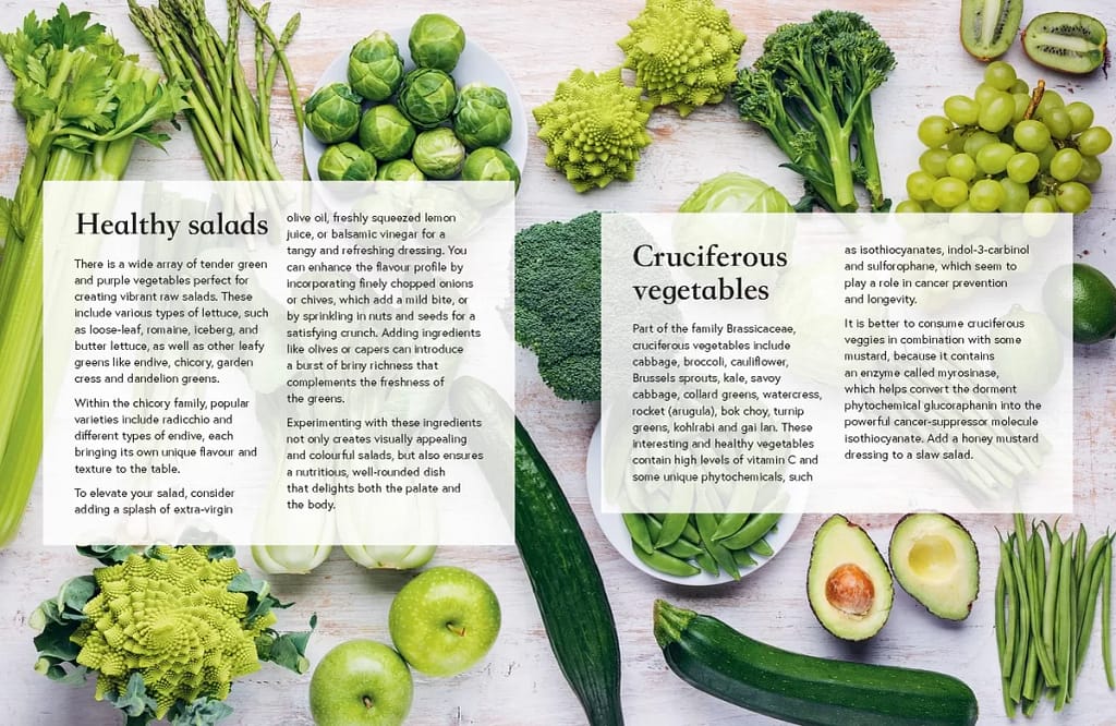 PlantPower004 - 1EarthMedia Plant Power by Professor Luigi Fontana