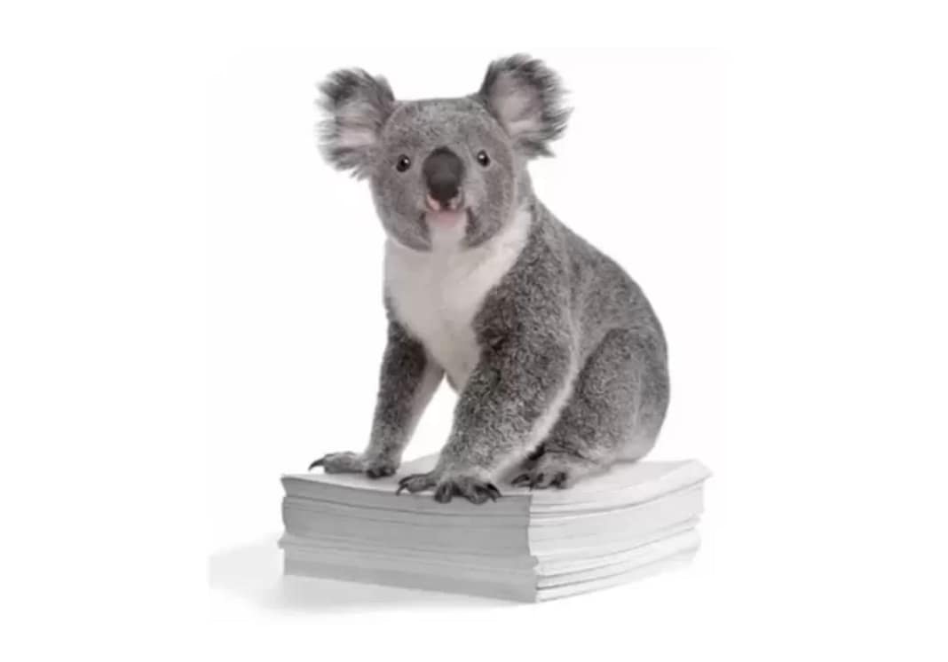 Koala Plan