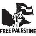 Illustration of a raised fist holding a flag over a map silhouette with the slogan 'FREE PALESTINE'.