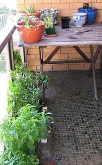 BalconeyGarden - 1EarthMedia Balcony Garden