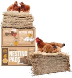 ChickenNesting - 1EarthMedia chicken nesring bedding
