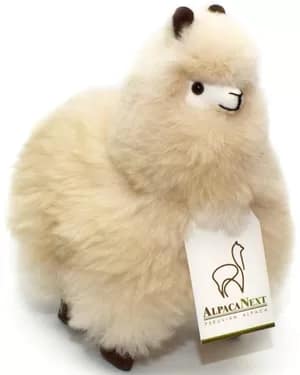 Alpaca02 - 1EarthMedia Alpaca