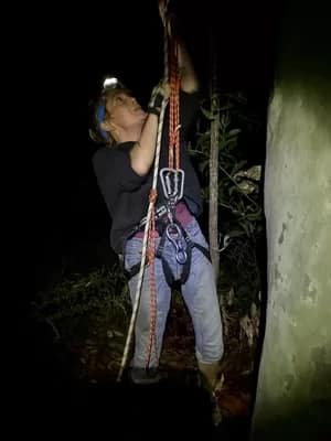 lamont02-300 - 1EarthMedia Juliet Lamont climbing to her tree sit protest
