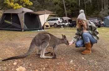 Reflections Burrinjuck Waters - 1EarthMedia Reflections Burrinjuck Waters