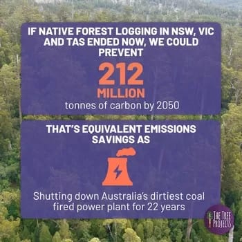 Emissions-by-2050 - 1EarthMedia Native forest carbon emissions