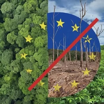 EUdeforestation - 1EarthMedia EU Deforestation