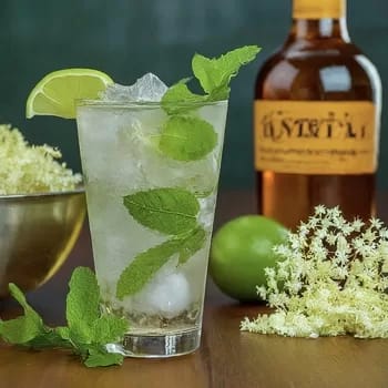 FrenchMojito350 - 1EarthMedia French Mojito