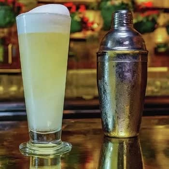 GinFizz350 - 1EarthMedia Gin Fizz