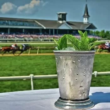 MintJulep350 - 1EarthMedia Mint Julep