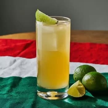 TequilaCollinsCocktail350 - 1EarthMedia Tequila Collins Cocktail