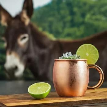 TequilaMule350 - 1EarthMedia Tequila Mule