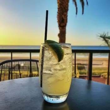 VodkaTonic350 - 1EarthMedia Vodka Tonic