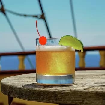 WhiskeySour350 - 1EarthMedia Whiskey Sour cocktail