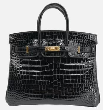 Hermes Birkin Croc Porous - 1EarthMedia Crocodile Porous Birkin bag