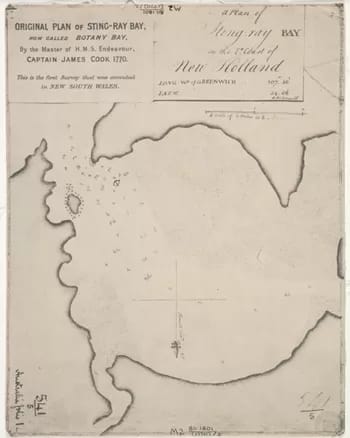 stingraybay350 - 1EarthMedia