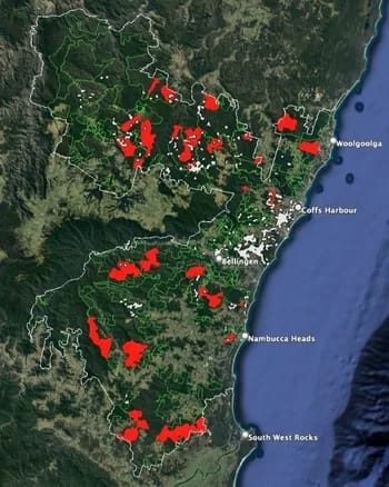 gknp-forestry-crop2-350 - 1EarthMedia Map of logging within Great Koala National Park