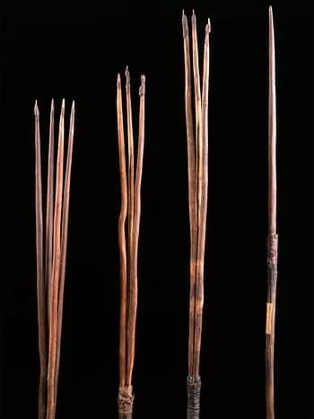 darts-350 - 1EarthMedia Four Australian Aboriginal spears – cared for by Cambridge’s Museum of Archaeology and Anthropology – are to be repatriated after Trinity College agreed to permanently return them to the country.