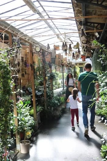 ParisFlowers010-2774 - 1EarthMedia Paris Flower market © Mark Anning photo 2022