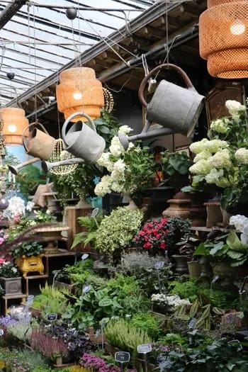 ParisFlowers013-2866 - 1EarthMedia Paris Flower market © Mark Anning photo 2022