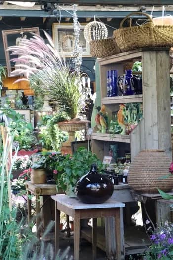 ParisFlowers018-2762 - 1EarthMedia Paris Flower market © Mark Anning photo 2022