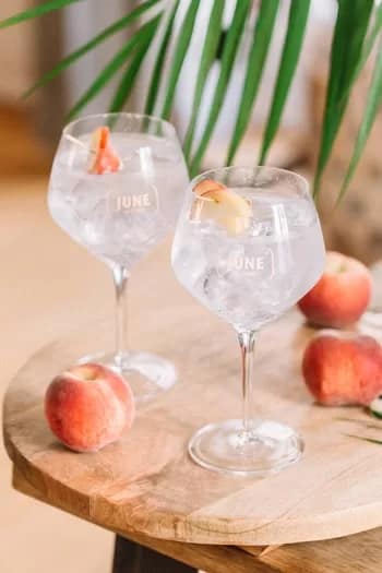 JuneGinLiqueur350 - 1EarthMedia June Gin Liqueur