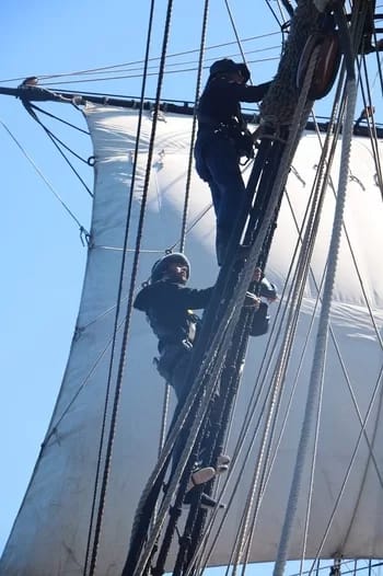 endeavour2019-013-350 - 1EarthMedia HMB Endeavour