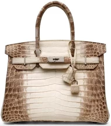 Hermes Birkin Croc - 1EarthMedia White Himalaya Crocodile Birkin 30 Palladium Hardware