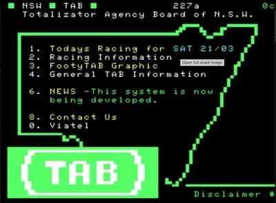 tab400 - 1EarthMedia Betting on Viatel before the internet