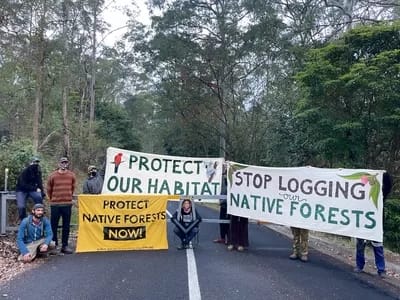 ForestryDaylight - 1EarthMedia Forestry Corporation headquarters at Pennant Hills blockaded