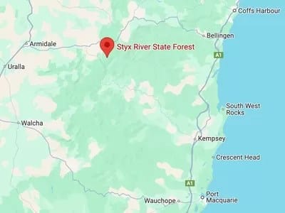 Styx Forest Map - 1EarthMedia Styx Forest Map