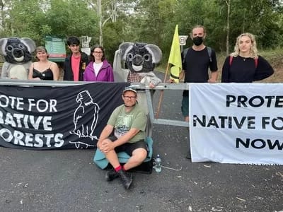 Forestry Corporation protest