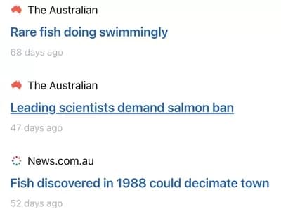 MaugeanSkate01 - 1EarthMedia