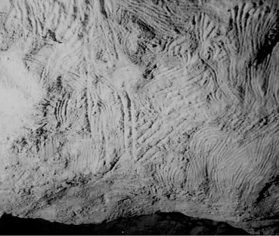 Koonalda-Cave001 - 1EarthMedia Ancient Finger flutings in the Art Passage, Koonalda Cave, photo: Robert G. Bednarik, Hebei Normal University