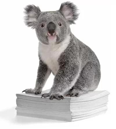 Greens plan to Save Koalas, End Clearing of Koala Habitat Koala plan