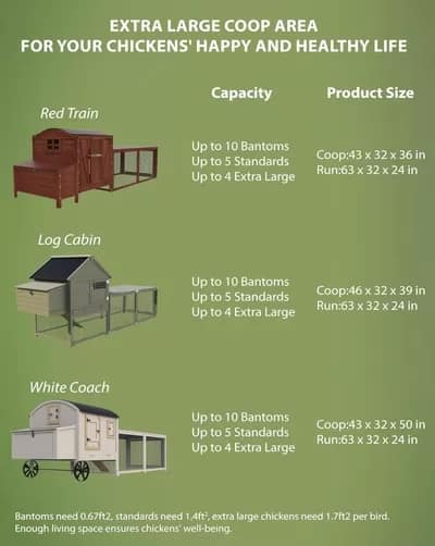 Size and design of chicken coops