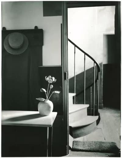 AndreKertsez02-400 - 1EarthMedia Andre Kertesz