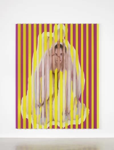 PollyBorland - 1EarthMedia Polly Borland, Untitled 2018 from MORPH series 2018 inkjet print on rice paper on lenticular cardboard 216.0 × 172.7 × 13.0 cm National Gallery of Victoria, Melbourne Purchased, Victorian Foundation for Living Australian Artists, 2019 © Polly Borland Photo: Nicholas Umek / NGV