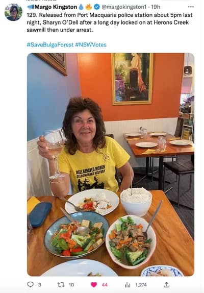 shaz-arrest-400 - 1EarthMedia Sharyn O'Dell after her arrest. Photo by Margo Kingston