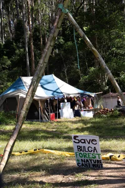 mga2301186337 - 1EarthMedia Save Bulga Forest