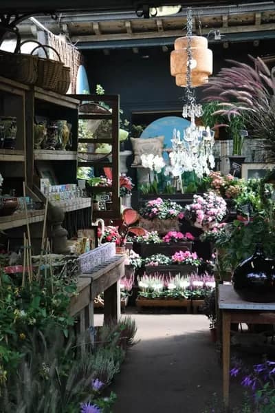 ParisFlowers011-2875 - 1EarthMedia Paris Flower market © Mark Anning photo 2022