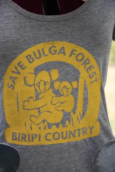 NSW Forestry Corp have a fight on their hands to Save Bulga Forest Save Bulga Forest