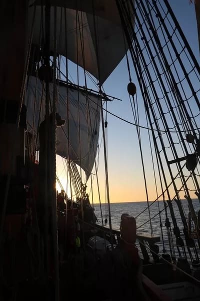 endeavour006-400 - 1EarthMedia HMB Endeavour © 2019 Mark Anning photo