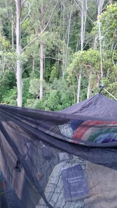 LOLA002-400 - 1EarthMedia Lola in the Bulga Forest