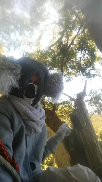 LOLA012-400 - 1EarthMedia Lola on her tree platform