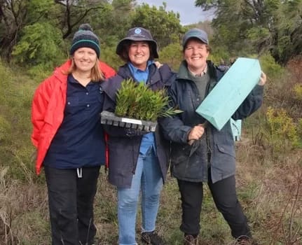ringtailpossumladies350 - 1EarthMedia Geocatch replanting habitat trees
