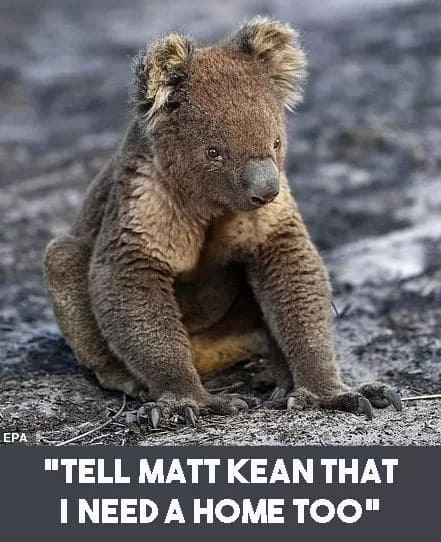 Tell Matt Kean that I need a home too.