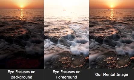 FilmWeddingphoto001 - 1EarthMedia