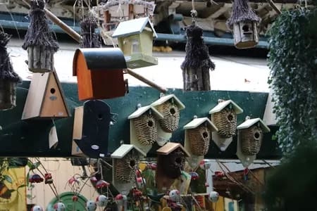 ParisFlowers004-2907 - 1EarthMedia Paris Flower market © Mark Anning photo 2022