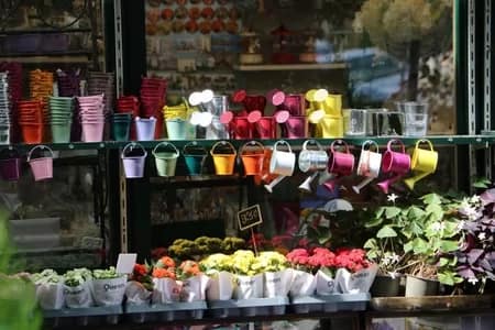 ParisFlowers009-2881 - 1EarthMedia Paris Flower market © Mark Anning photo 2022